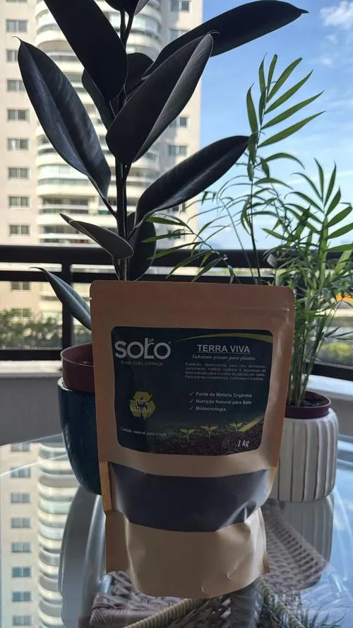 Terra Viva Solo